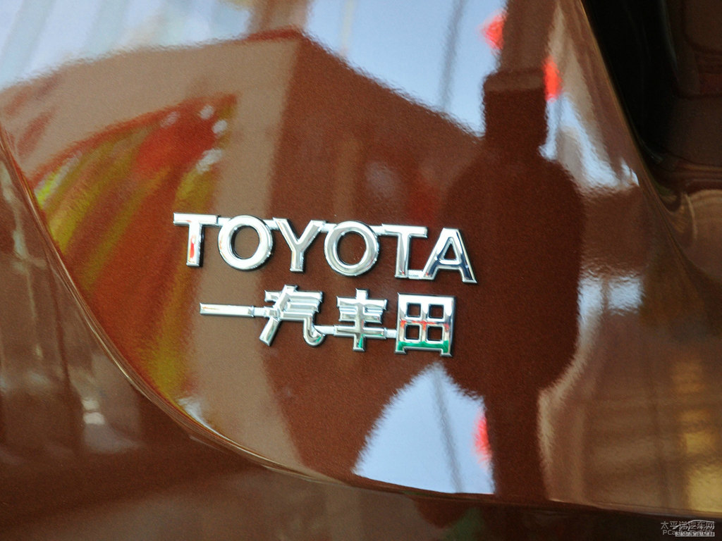 深棕云母色RAV4榮放車尾外觀圖片