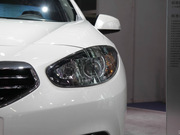 2013 2.0L (bio)(zhn)