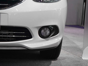 2013 2.0L (bio)(zhn)