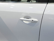 2013 2.0L (bio)(zhn)