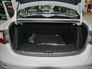 2013 2.0L (bio)(zhn)