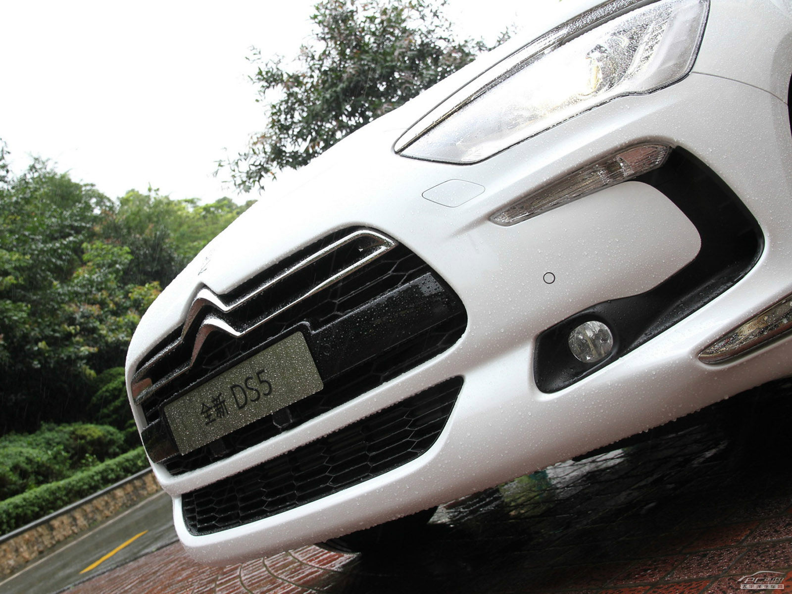 DS 5外觀高清大圖