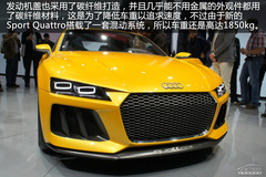 WSport QuattroĽ