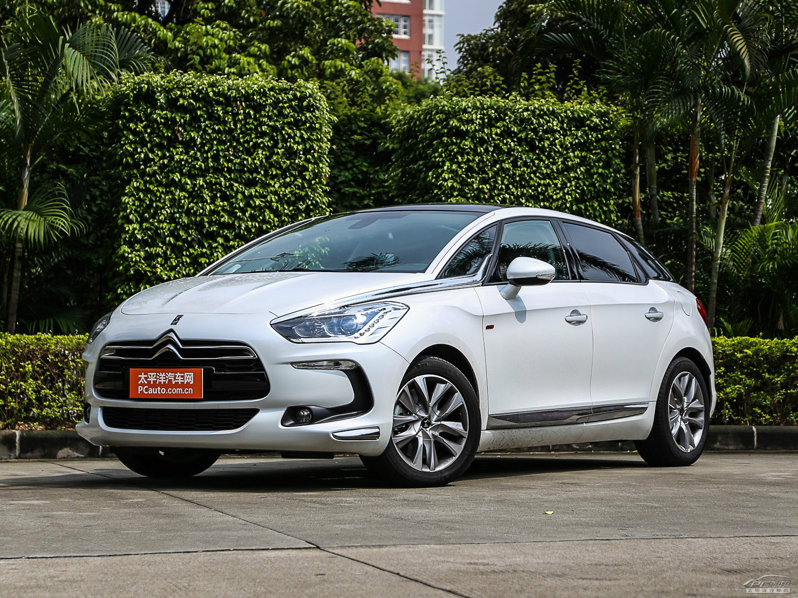 DS 5外觀高清大圖