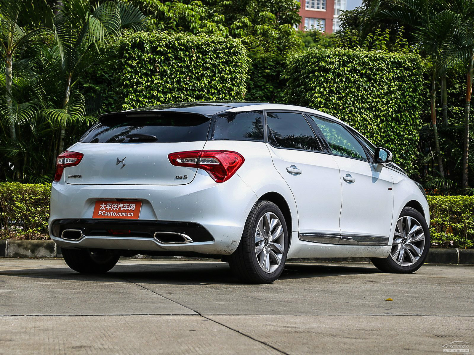 DS 5外觀高清大圖