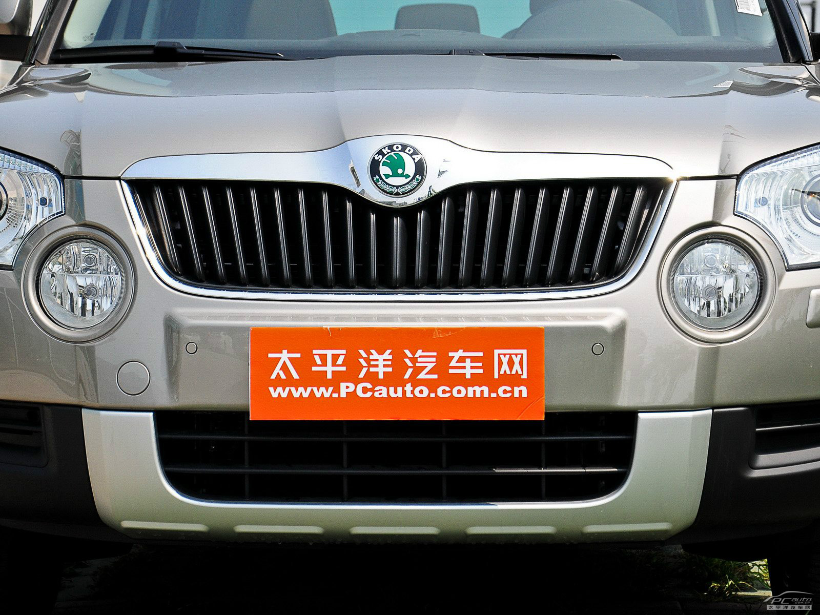 Yeti(進(jìn)口)外觀高清大圖