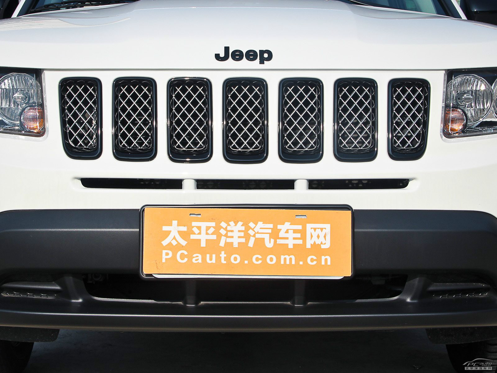 指南者(進(jìn)口)外觀高清大圖