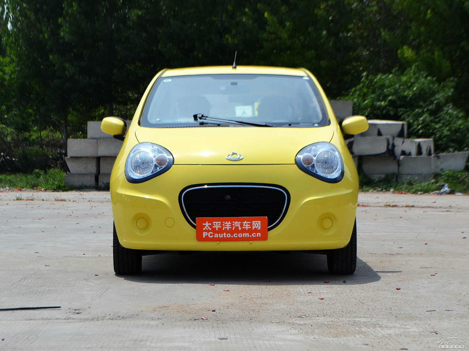 經(jīng)典熊貓外觀(guān)高清大圖