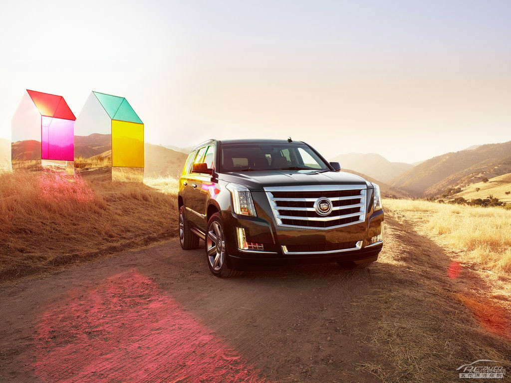 P׵ESCALADE܇^^DƬ