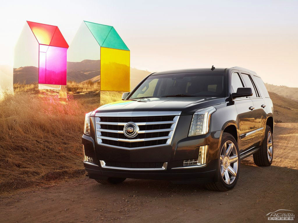 P׵ESCALADE܇^^DƬ