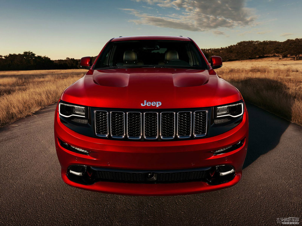 Z SRT^DƬ
