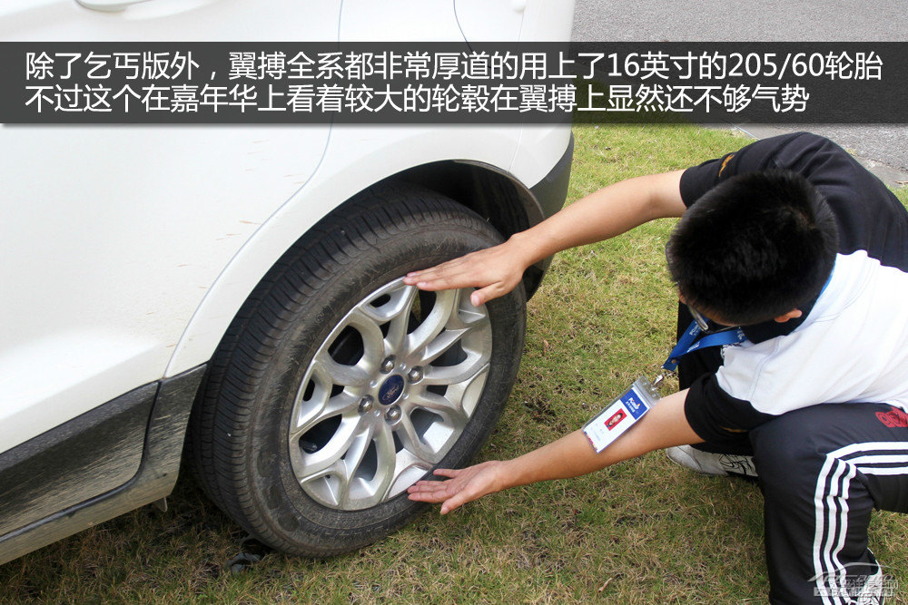 翼搏圖片