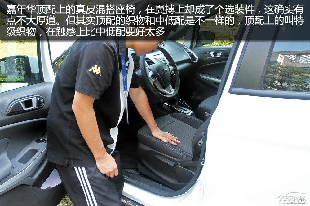 翼搏圖片