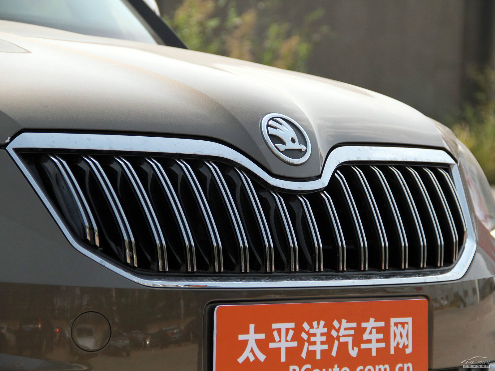 Yeti外觀高清大圖