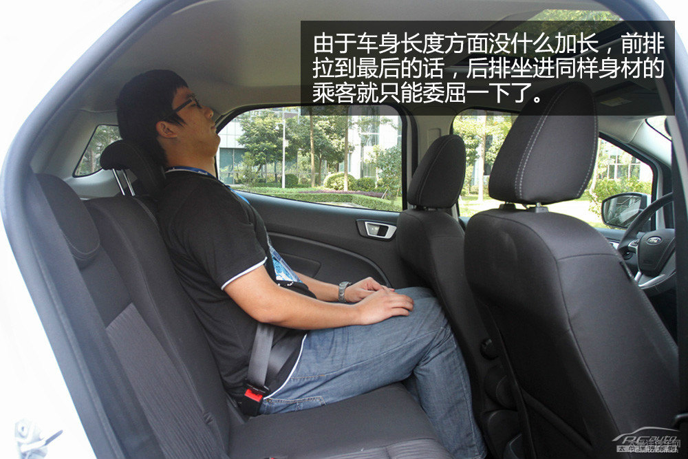 翼搏圖片
