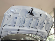 2013 2.0L (bio)(zhn)