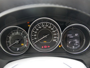 2013 2.0L (bio)(zhn)