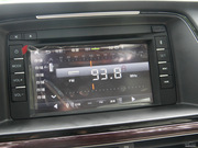 2013 2.0L (bio)(zhn)