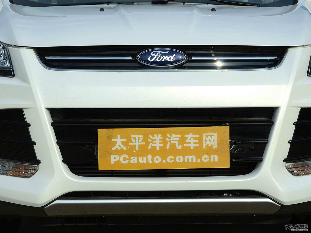珍珠白翼虎車頭外觀圖片