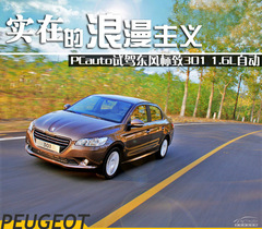 (sh)ڵx ԇ{|L(fng)(bio)301 1.6LԄ(dng)