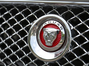 2014款 XJL 2.0T 兩驅(qū)典雅商務(wù)版