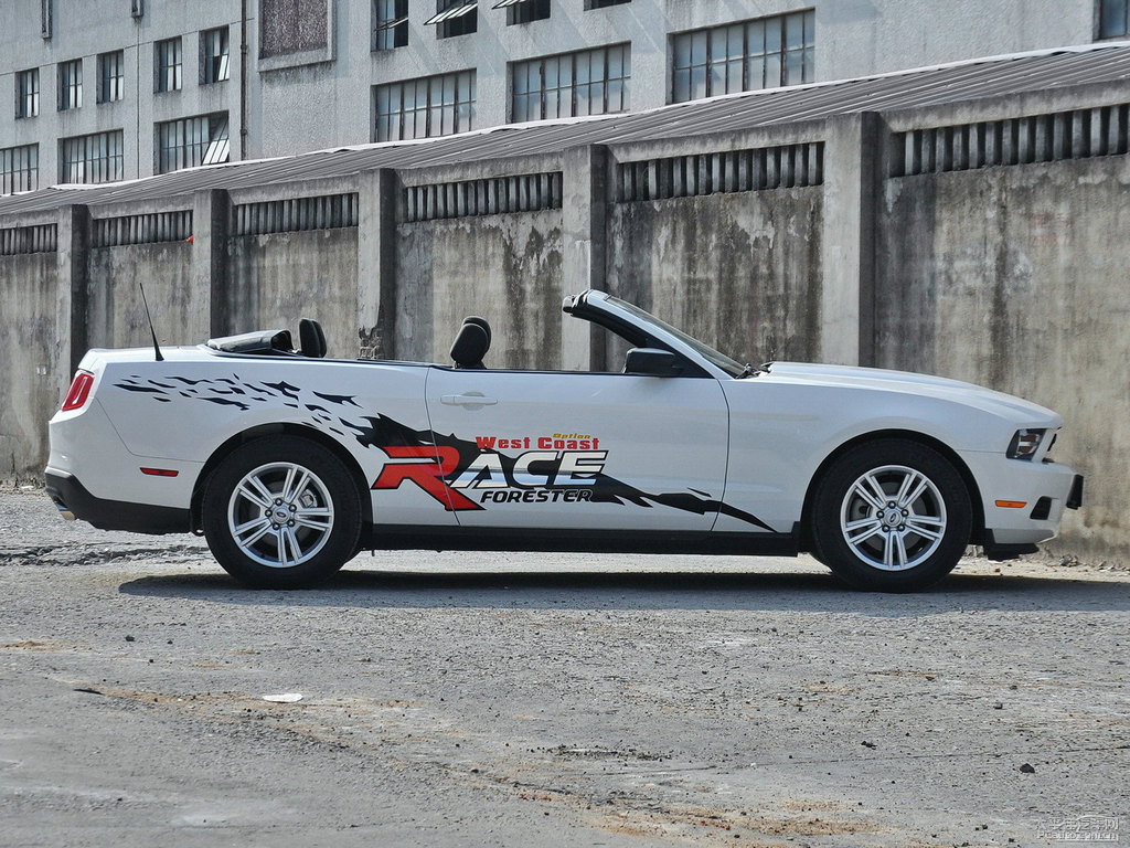 ܰ׸Mustang܇^^DƬ