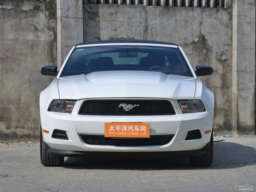ܰ׸Mustang܇^^DƬ