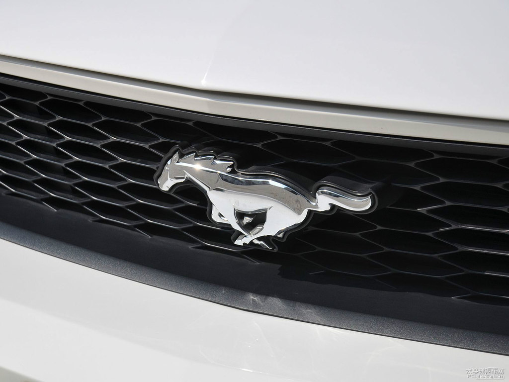 ܰ׸Mustang܇(ch)^^DƬ