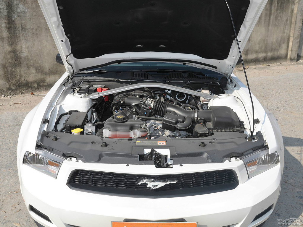 ܰ׸Mustangl(f)(dng)C(j)(x)(ji)DƬ