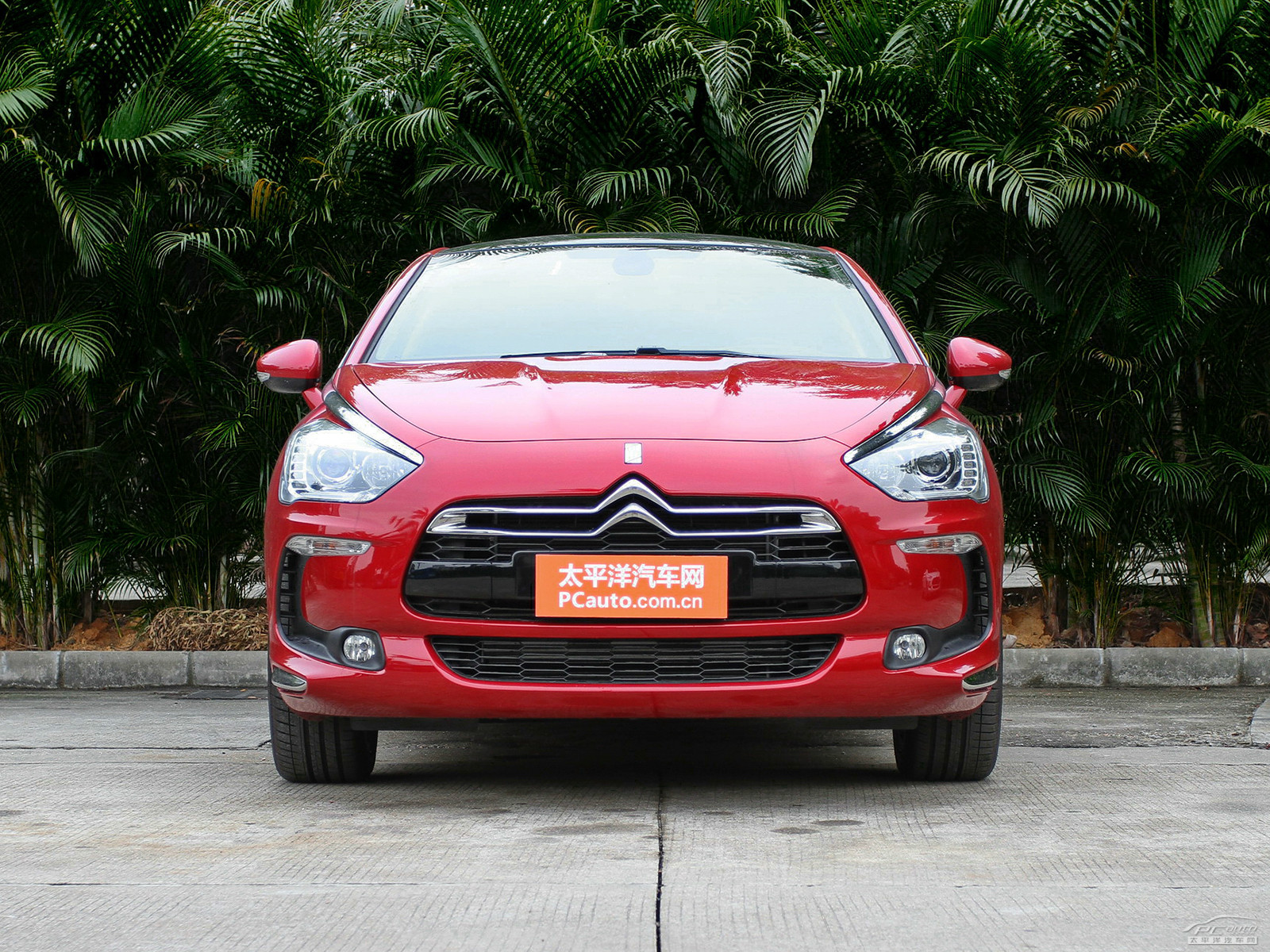DS 5外觀高清大圖