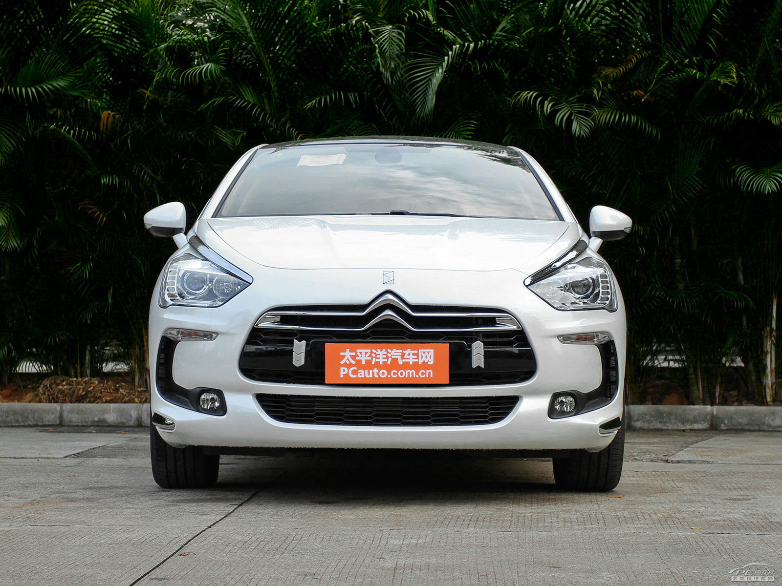DS 5外觀高清大圖