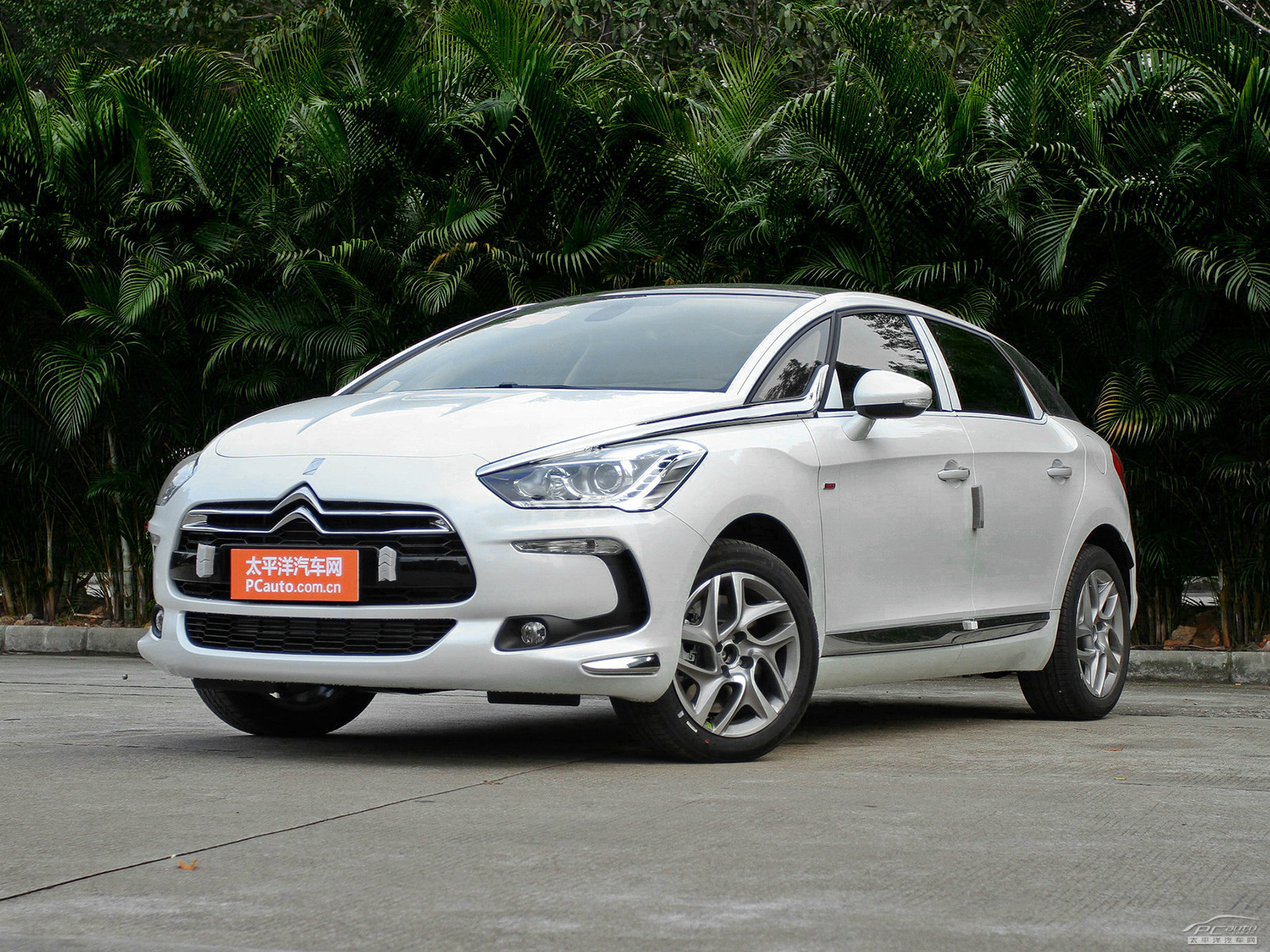 DS 5外觀高清大圖