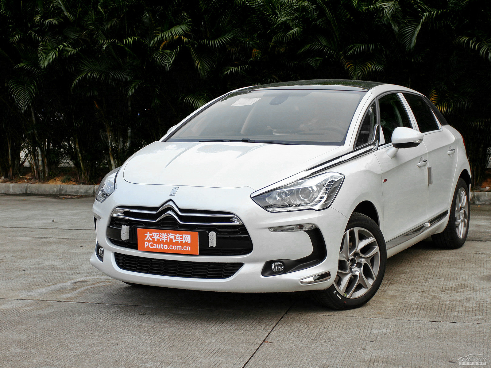 DS 5外觀高清大圖