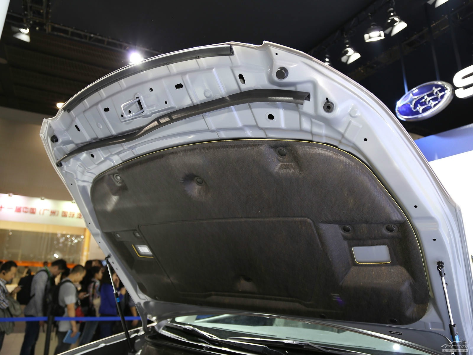 力獅細(xì)節(jié)高清大圖