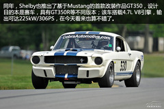 Mustangvʷ