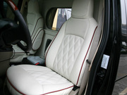 2011款 5.4L 白金版