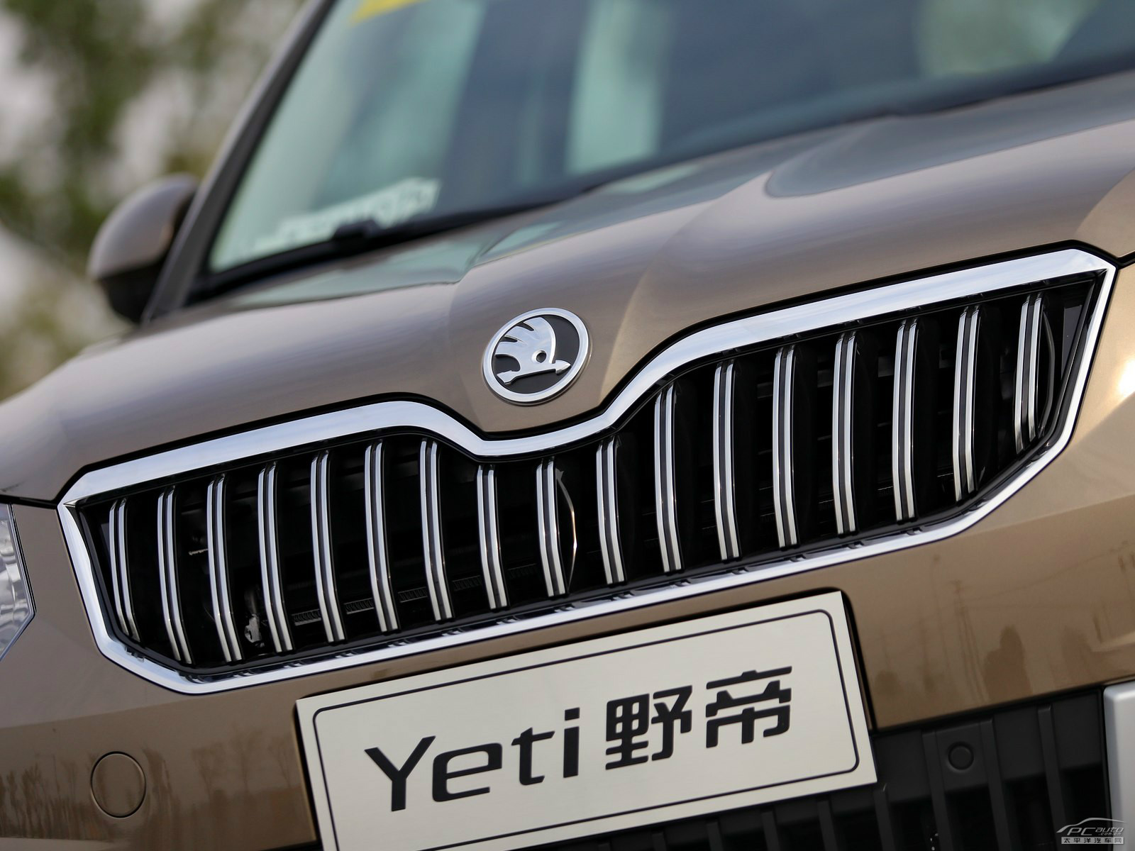 Yeti外觀高清大圖