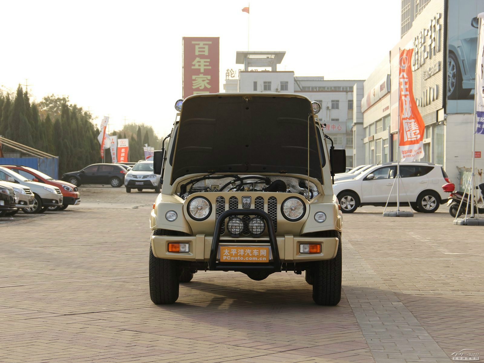 戰(zhàn)旗細(xì)節(jié)高清大圖