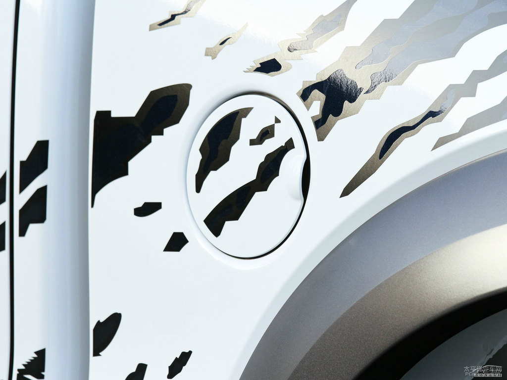 ţ׸F-150܇(ch)^(gun)DƬ