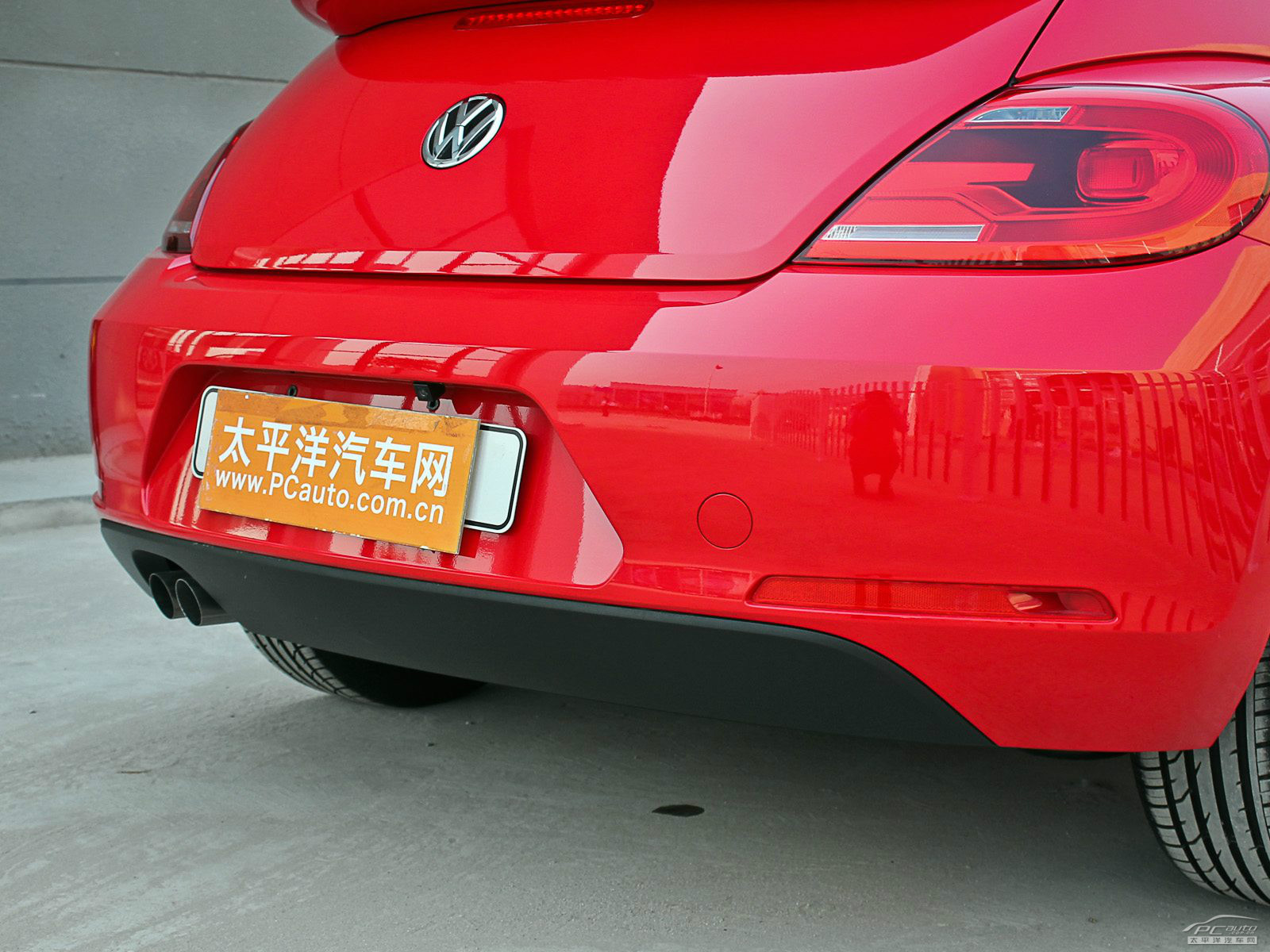 甲殼蟲外觀高清大圖
