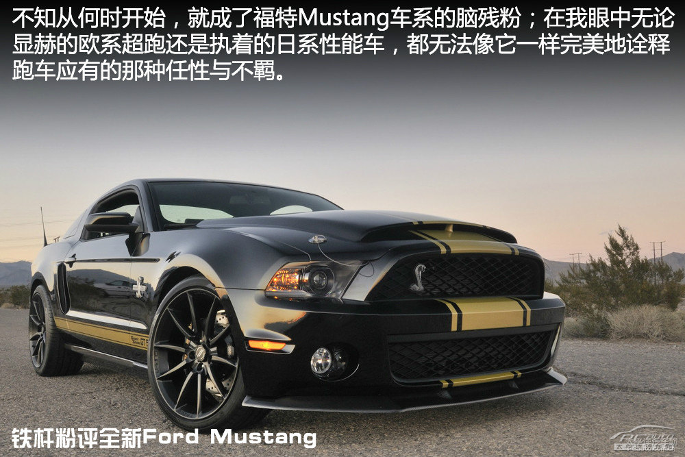 MustangDƬ