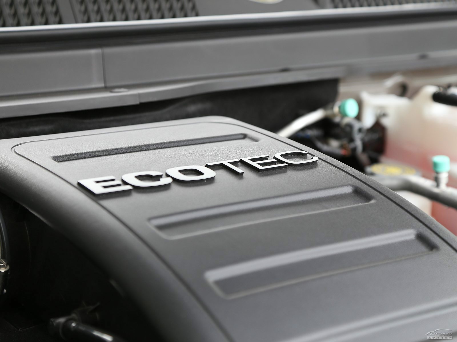 安德拉細(xì)節(jié)高清大圖