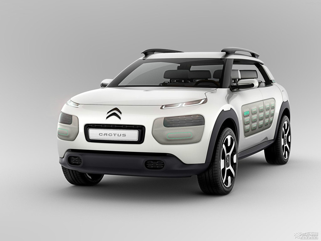 ѩFC4 Cactus܇(ch)^^DƬ