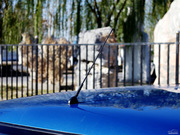 2014 1.3L ք(dng)(bio)(zhn)