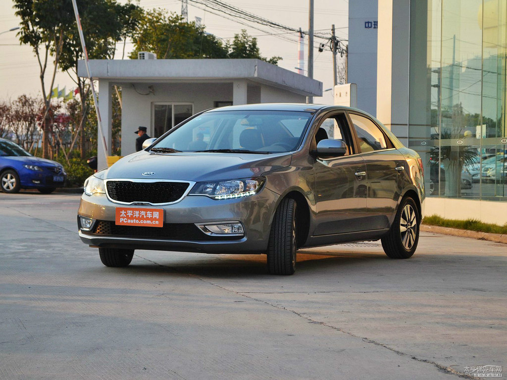 棕色福瑞迪整車外觀外觀圖片