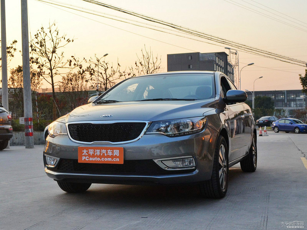 棕色福瑞迪整車外觀外觀圖片