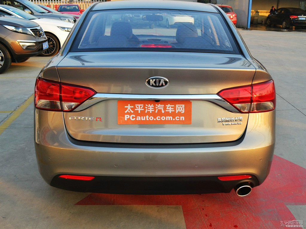 棕色福瑞迪車尾外觀圖片