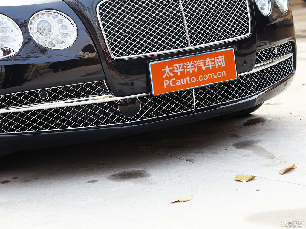 黑色飛馳車頭外觀圖片