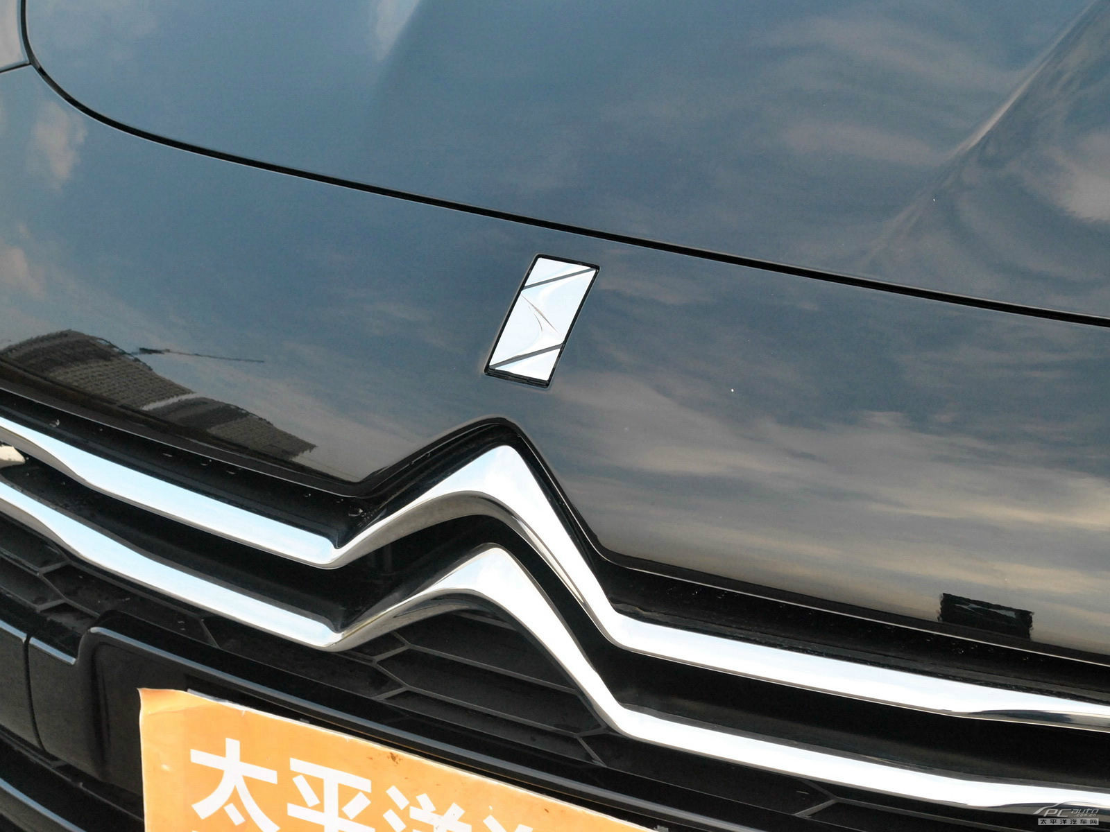 DS 5外觀高清大圖
