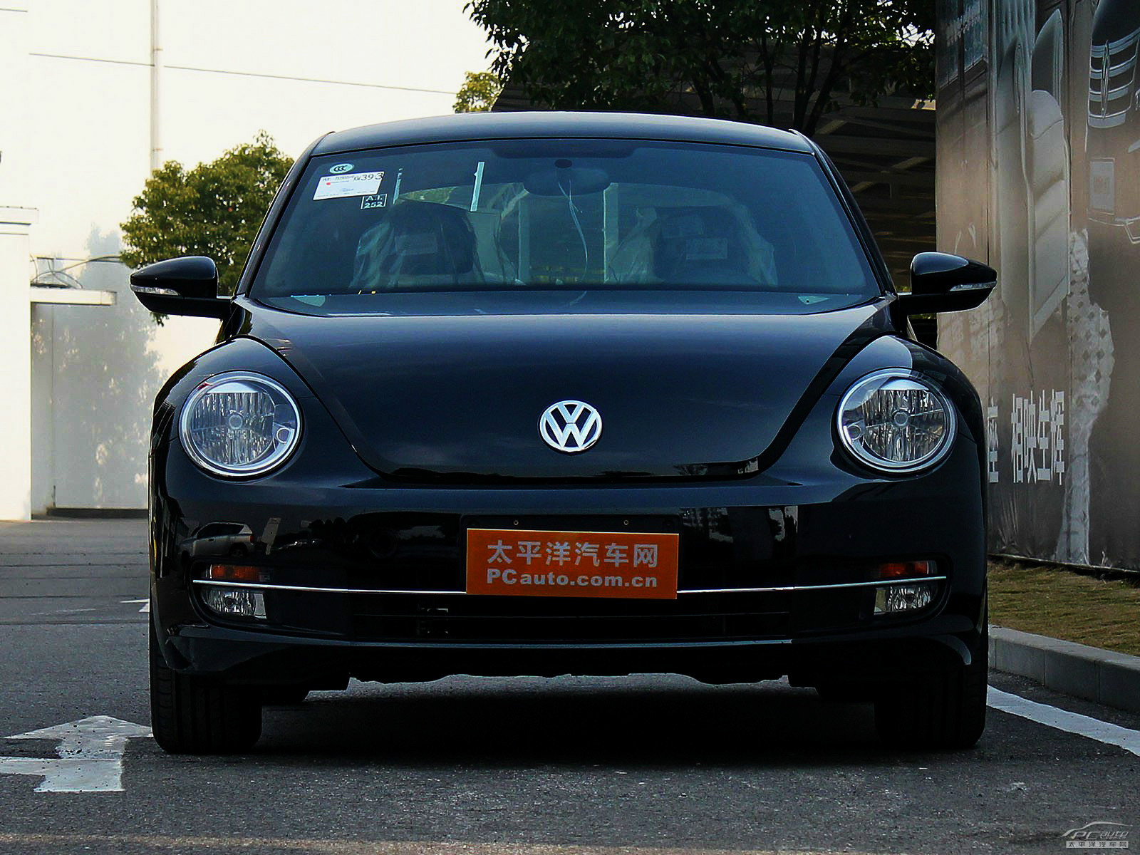 甲殼蟲外觀高清大圖